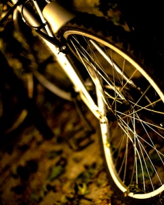 Bent Bike Wheel by tanvach via Flickr