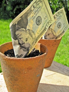 Growing Money by Images_of_Money via Flickr